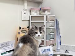 -爱诺耐芙动物医院(万博店)