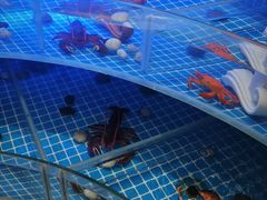 -天宇菲尔德·花园西餐厅·海鲜自助餐