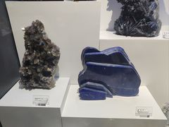 -重庆自然博物馆(新馆)