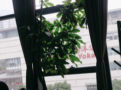 -院8里·小乐园家常味川菜(鹭洲里店)