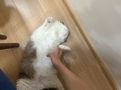-剧狐剧本杀(徐汇1号店)