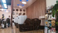 IMG_20140601_160218-尚·丹尼Hair