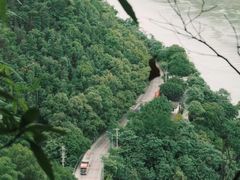 -南山植物园