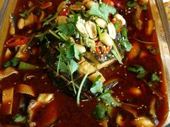 -素虎小呆鸟(西二旗店)