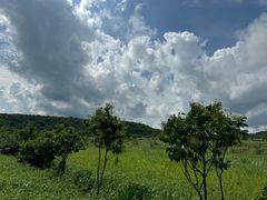 -茅兰沟国家森林公园