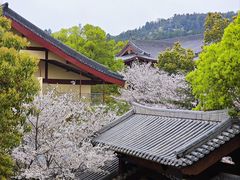 -庐山风景名胜区-东林大佛
