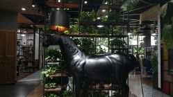 -UPTOP鼎上造型