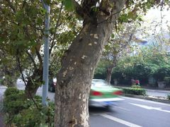 -四川大学(华西校区)