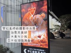 -罗红摄影艺术馆