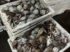 -UH祐禾(上海荟聚店)