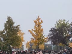 -大雁塔文化休闲景区-北广场