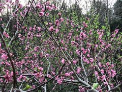 -仙海旅游度假区