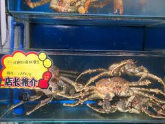 -蚝专家(北滘店)