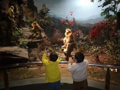 -陕西自然博物馆