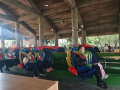 -珠海长隆海洋王国-鹦鹉过山车