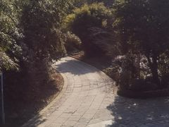 -西院1号(龙井店)