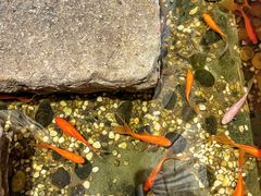 -邈墨茶馆(凤起路店)