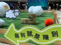 -阳光天地