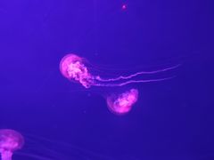 -波塞冬海底世界