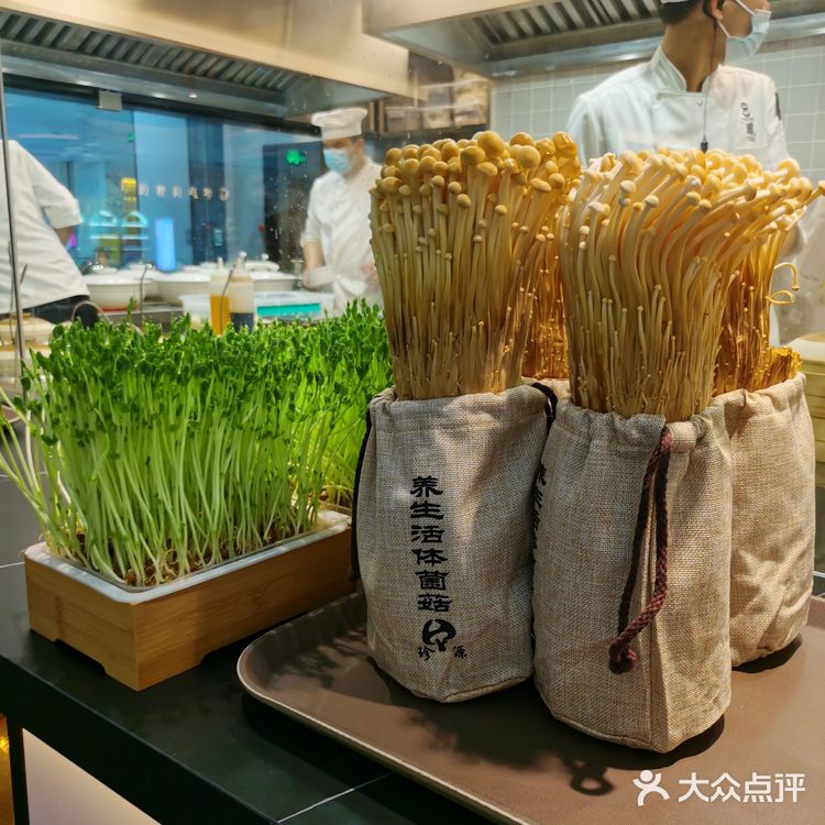 广州开来的“山中凤”猪肚鸡,就在花园城