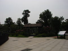 景点-王借岗森林公园