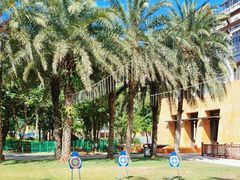 -三亚海棠湾万丽度假酒店