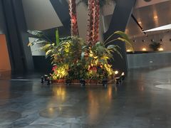 -中央广播电视总台(光华路办公区)