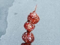 -邓记新一代糖油果子(四川煤管局供销公司职工宿舍店)