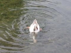 -成飞公园