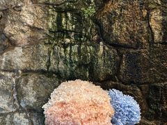 -澳门圣地牙哥古堡酒店