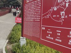 -老君山
