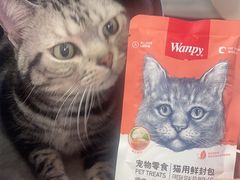 -西安京西宠物医院·瘫痪·疑难杂症