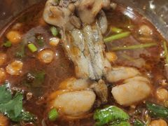 -鸿顺老铁锅美蛙鱼府(解放碑店)