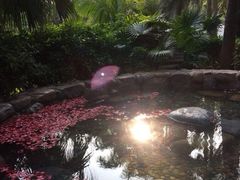 -厦门日月谷温泉渡假村