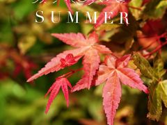 -周口店坡峰岭风景区