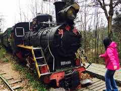 -五营红松林海景区