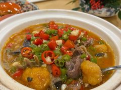 甲鱼-虹迎轩·中餐厅(虹桥迎宾馆店)