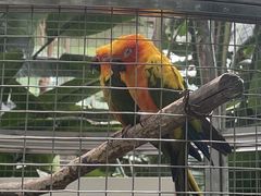 -大连森林动物园