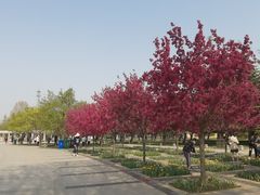 -石家庄市植物园