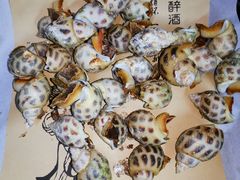 -顺德了能馆(虎门店)