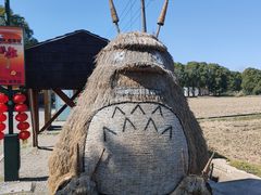 -嘉北郊野公园