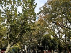 -新长发栗子食品有限公司(威海路店)