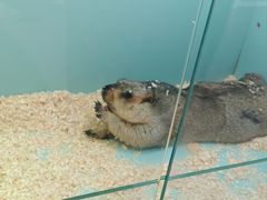 -FAIRYLAND龙族星球主题餐厅(凯丹广场店)