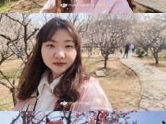 -香雪海