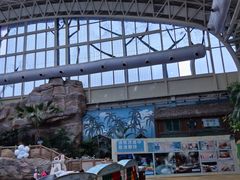 -杭州开元森泊度假乐园