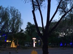 -枫花园汽车电影院(朝阳公园店)