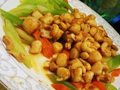 -上海虹桥宾馆(郁锦香品牌酒店)