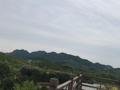 -梨木台悦来客农家院