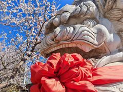 -滨河世纪广场公园