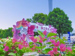 -二沙岛艺术公园